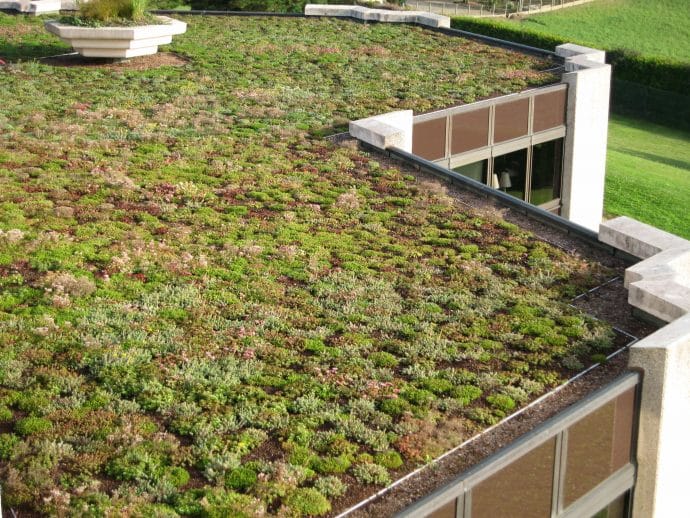 Les toits-terrasses en béton végétalisés : l’atout fraîcheur des bâtiments